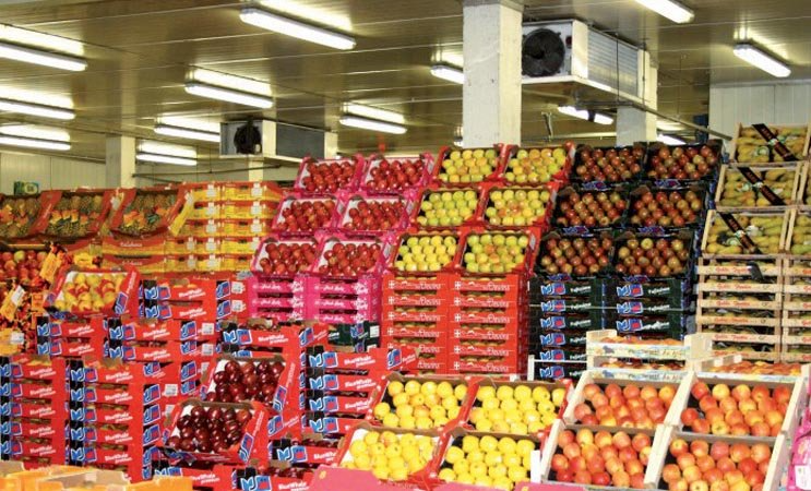 paniers de fruits dans le marché gros