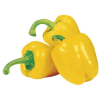 poivron jaune