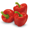 poivron rouge